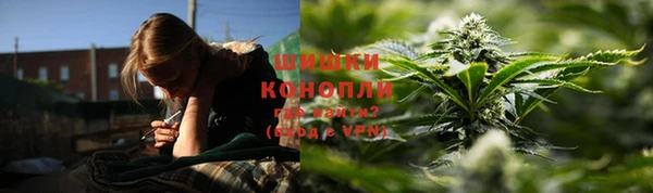 трава Карпинск