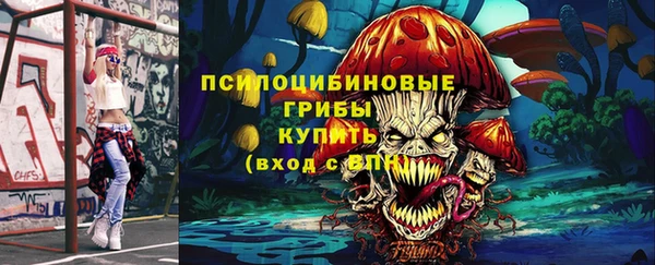трава Карпинск