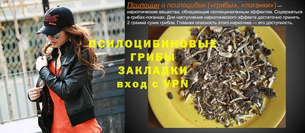 сатива Киреевск