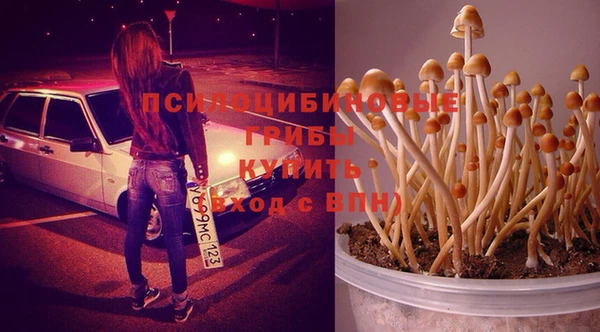 Альфа ПВП Киренск