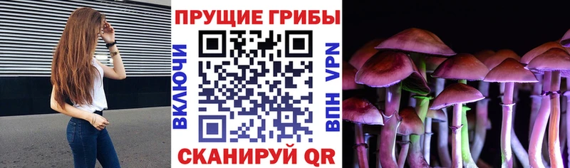 дарнет шоп  darknet официальный сайт  Псилоцибиновые грибы ЛСД  Фокино 